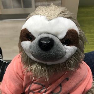 Meet your Posher, Leo